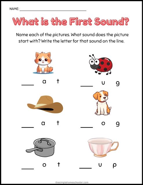 CVC Words Worksheet Kindergarten - 1