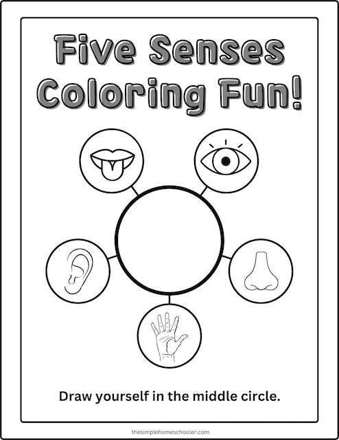 Best 5 Senses Coloring Pages Free Easy Print The Simple Homeschooler