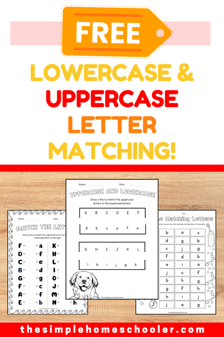 17+ Fun Printable Match Uppercase and Lowercase Letters Worksheets ...
