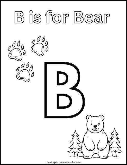 Letter B Coloring Page 5